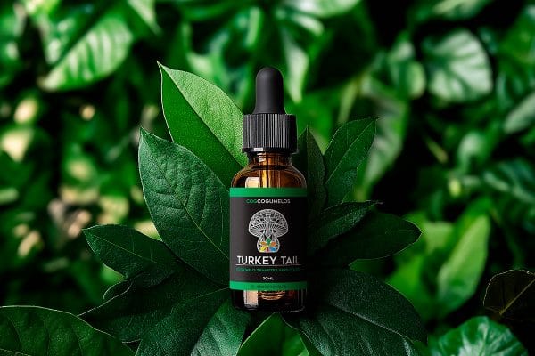 Extrato de Cogumelo Turkey Tail 60ml COG Cogumelos — imagem 4