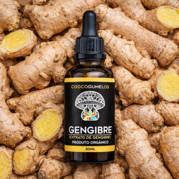 Extrato de Gengibre Orgânico COG Cogumelos 30ml — imagem 3