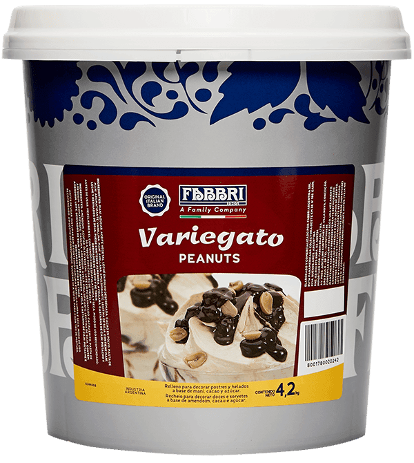 Fabbri AMENDOIM E CHOCOLATE (PEANUT) 4,2 kg